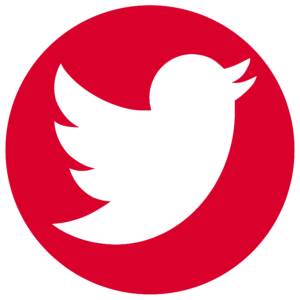 Logo Twitter Simersion Rouge